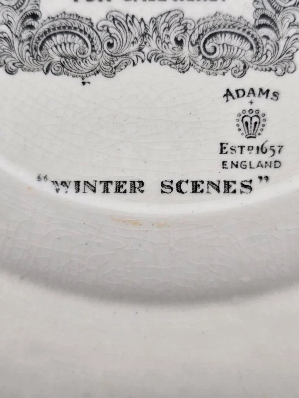 Adams England Snowed Up Ruffed Grouse In Winter 10